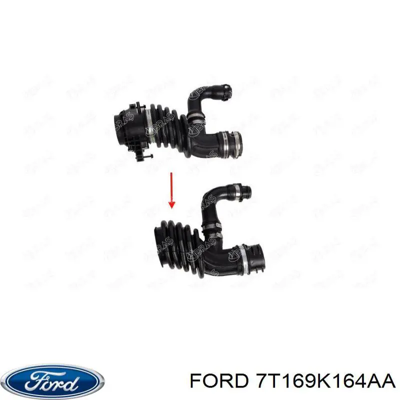 Купить 7T169K164AA Ford Шланг отвода воздуха из топливного бака