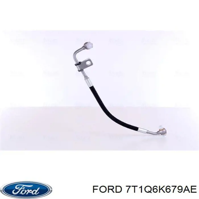 1517019 Ford
