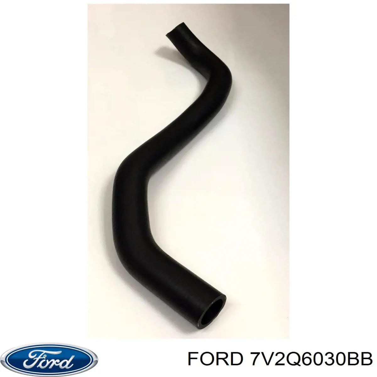 1641111 Ford 