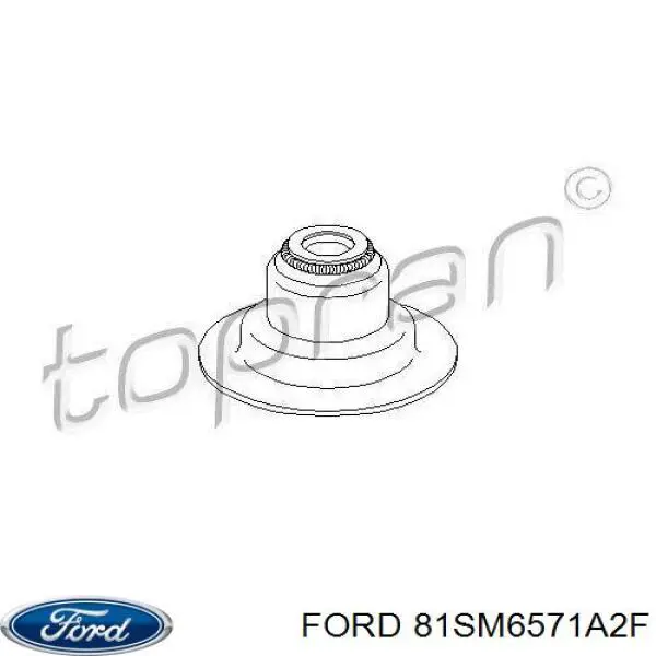 81SM6571A2F Ford сальник клапана (маслосъемный, впуск/выпуск)