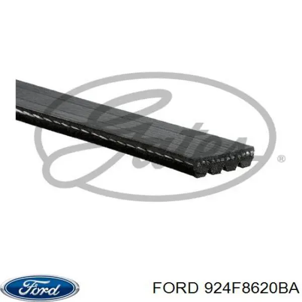 Клиновый ремень Ford 924F8620BA цена, от 9.48 USD
