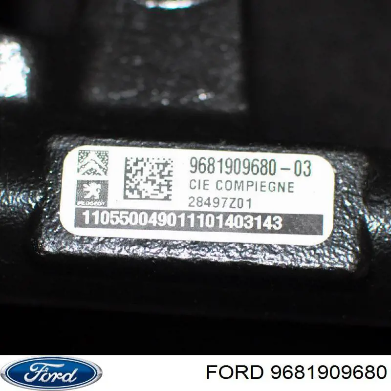 9681909680 Ford Топливная рампа