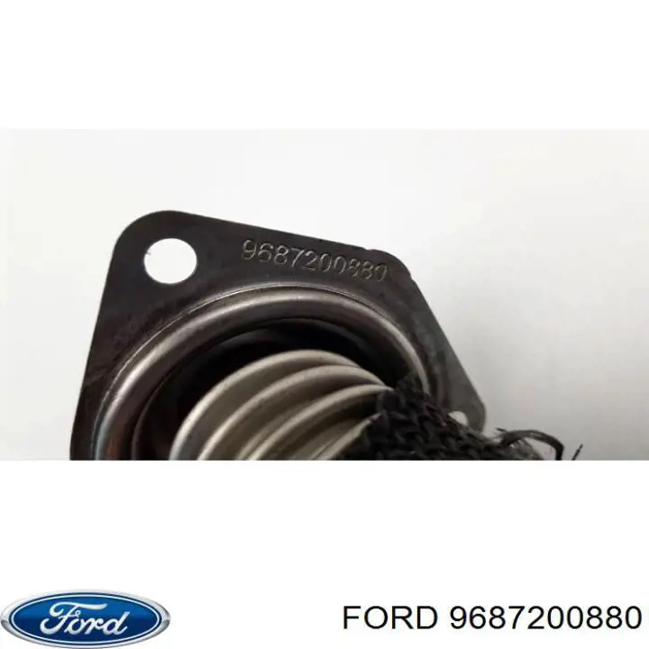 9687200880 Ford 