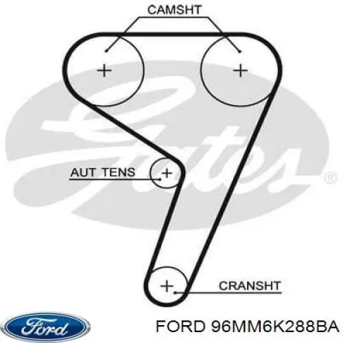 Ремень ГРМ 96MM6K288BA Ford