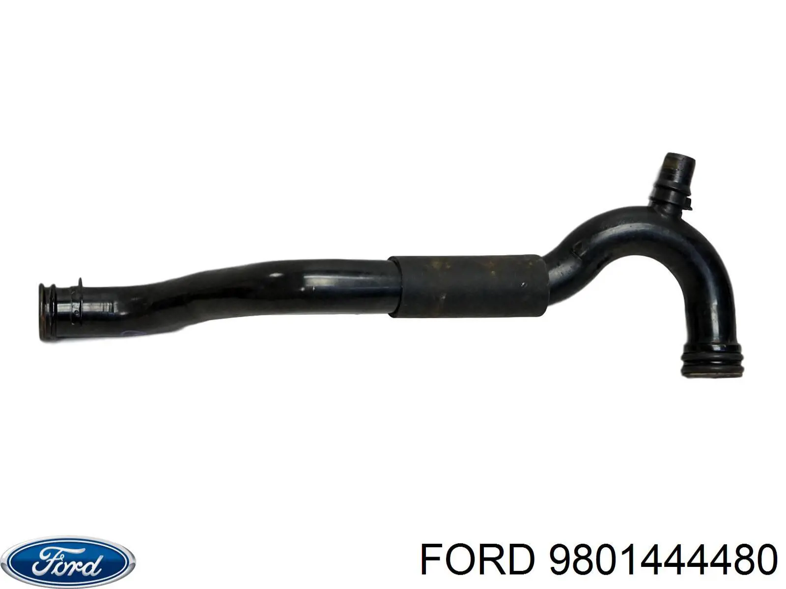  9801444480 Ford