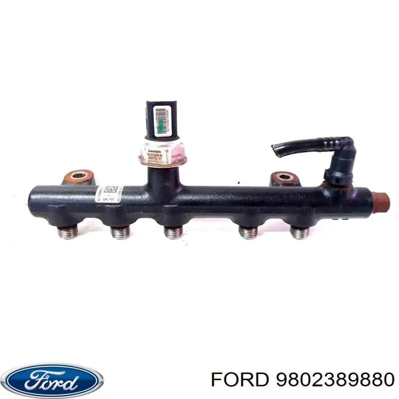  9802389880 Ford