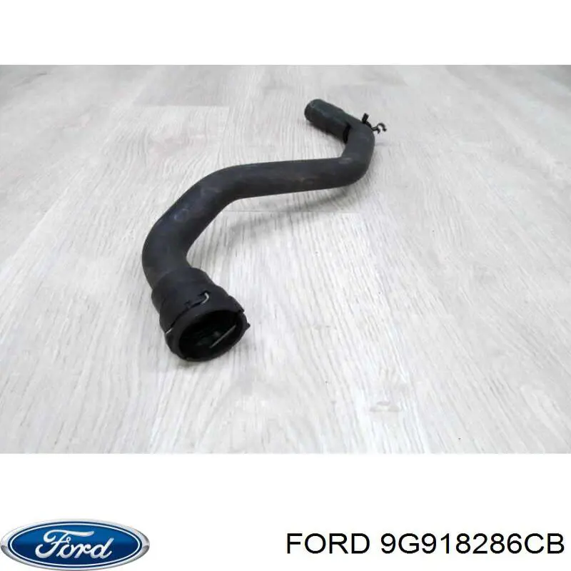 Купить 1683955 Ford Шланг радиатора охлаждения нижний