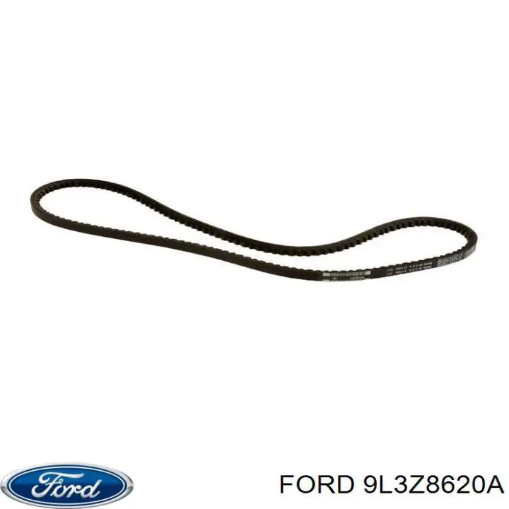Купить 9L3Z8620A Ford Ремень генератора