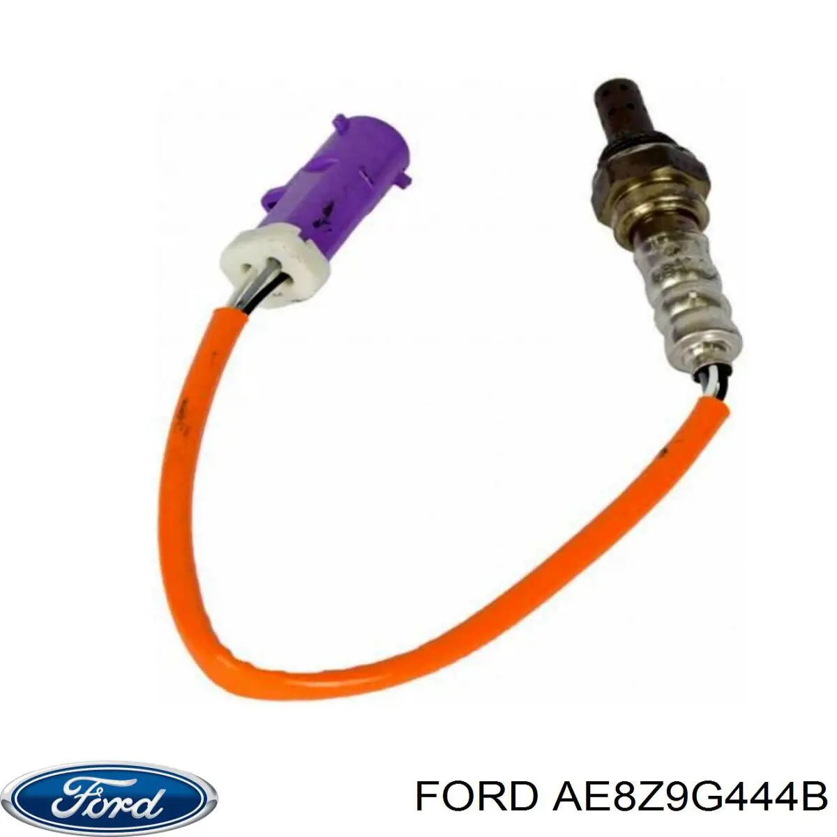 AE8Z9G444B Ford 