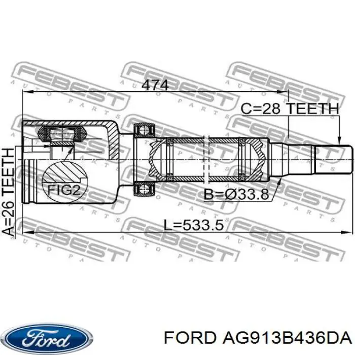 AG913B436DA Ford semieixo (acionador dianteiro direito)