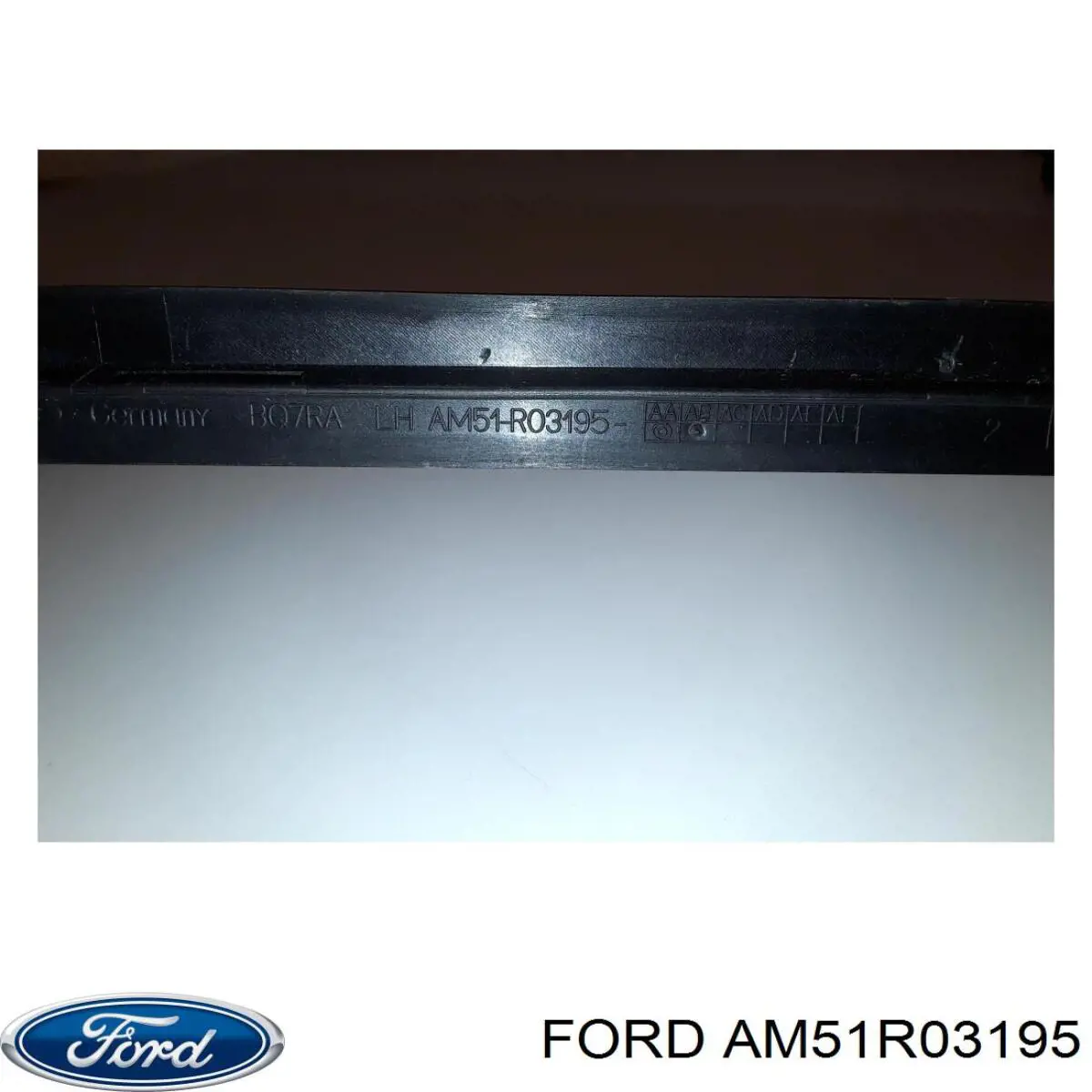 AM51R03195 Ford 