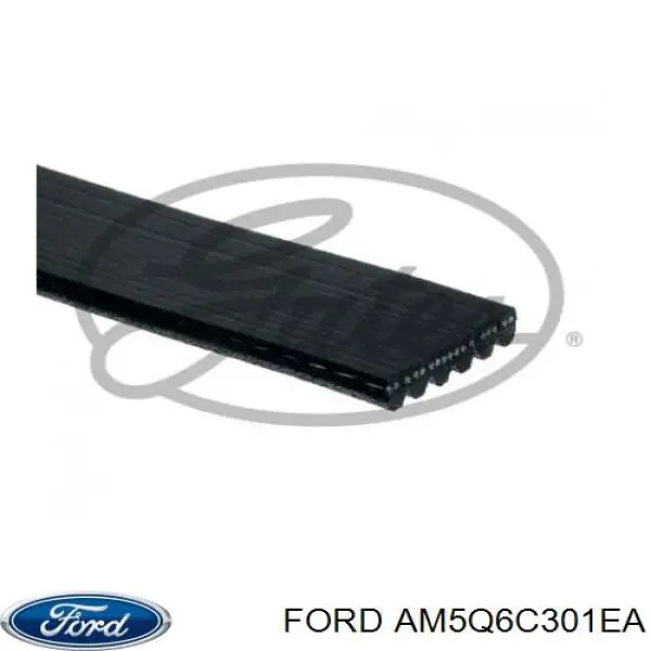 Купить AM5Q6C301EA Ford Ремень генератора