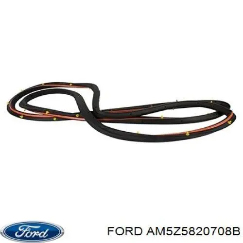 AM5Z5820708B Ford Уплотнитель двери передней, правой (на двери)
