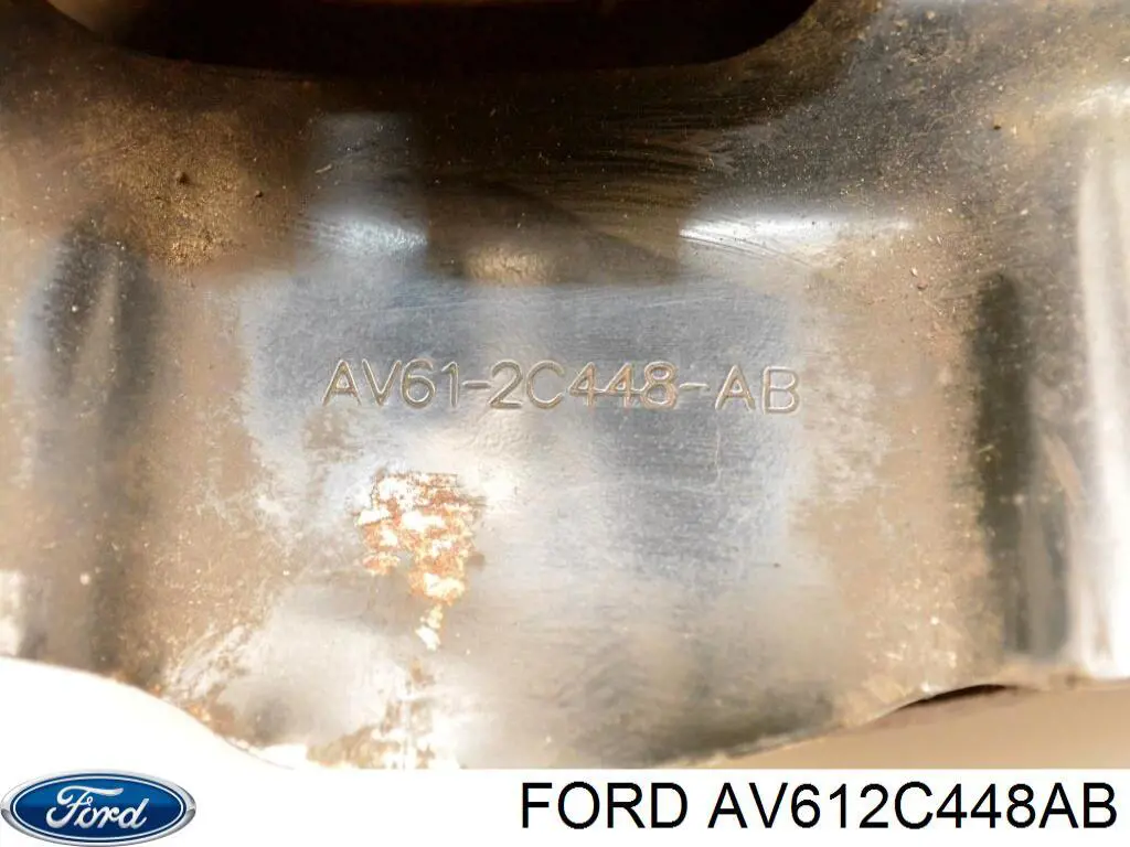 AV612C448AB Ford Пыльник тормозного диска переднего