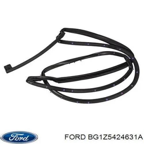 BG1Z5424631A Ford 