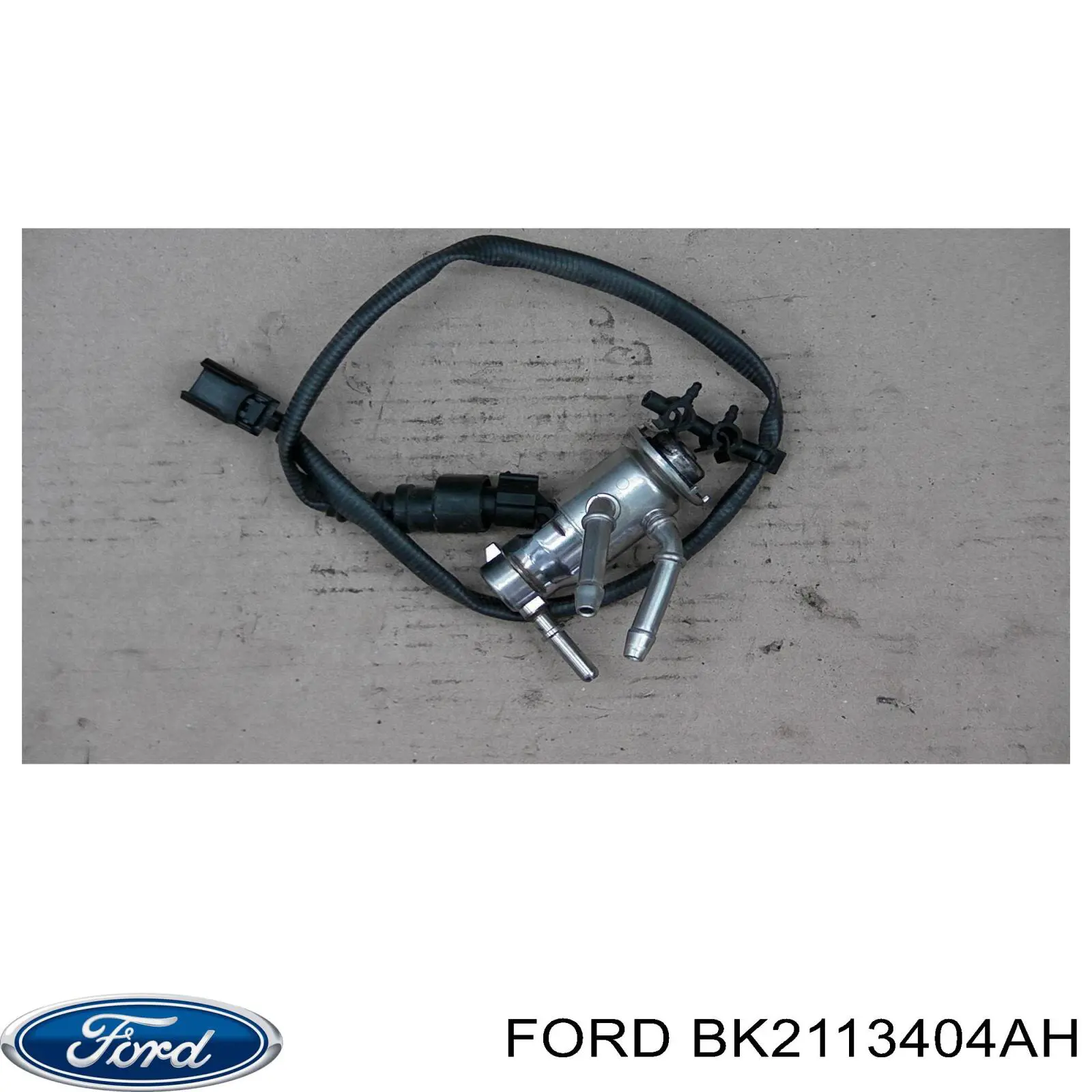 BK2113404AH Ford 