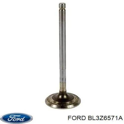 Сальники клапанов SS46052 Mahle Original