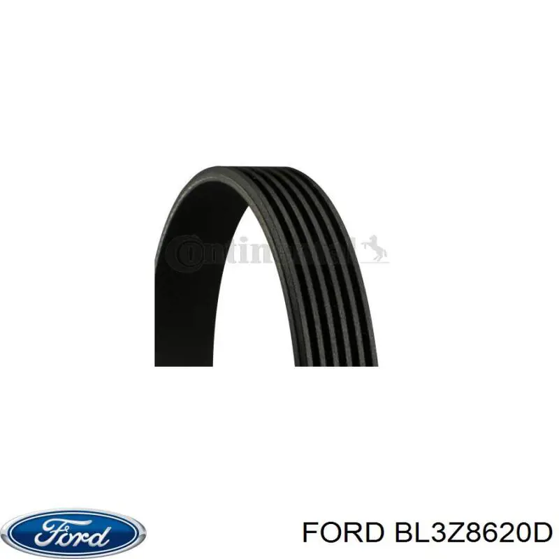 Клиновый ремень Ford BL3Z8620D цена, от 22.38 USD