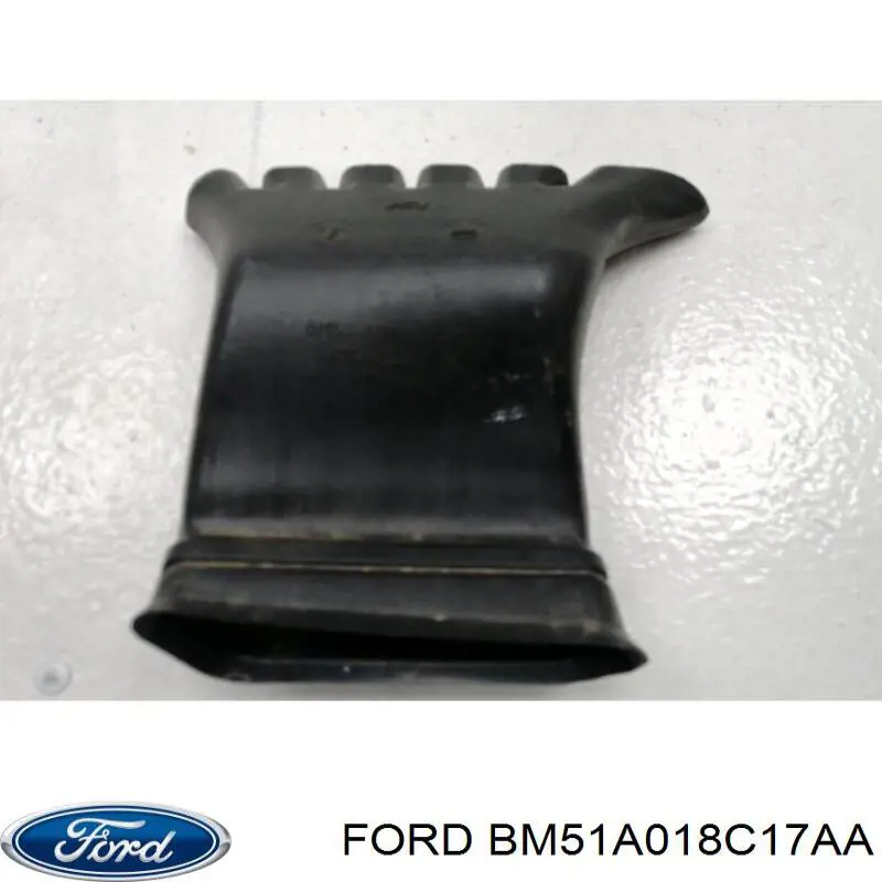 BM51A018C17AA Ford 