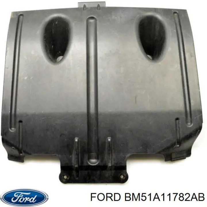 BM51A11782AB Ford 