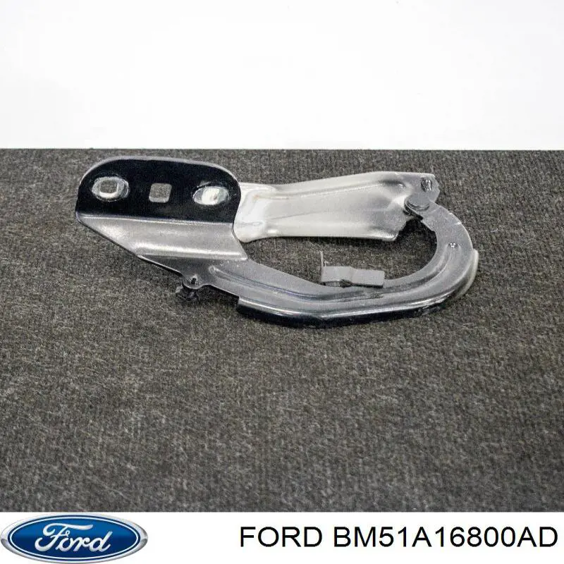Купить FO1236153 Various Завеса капота правая