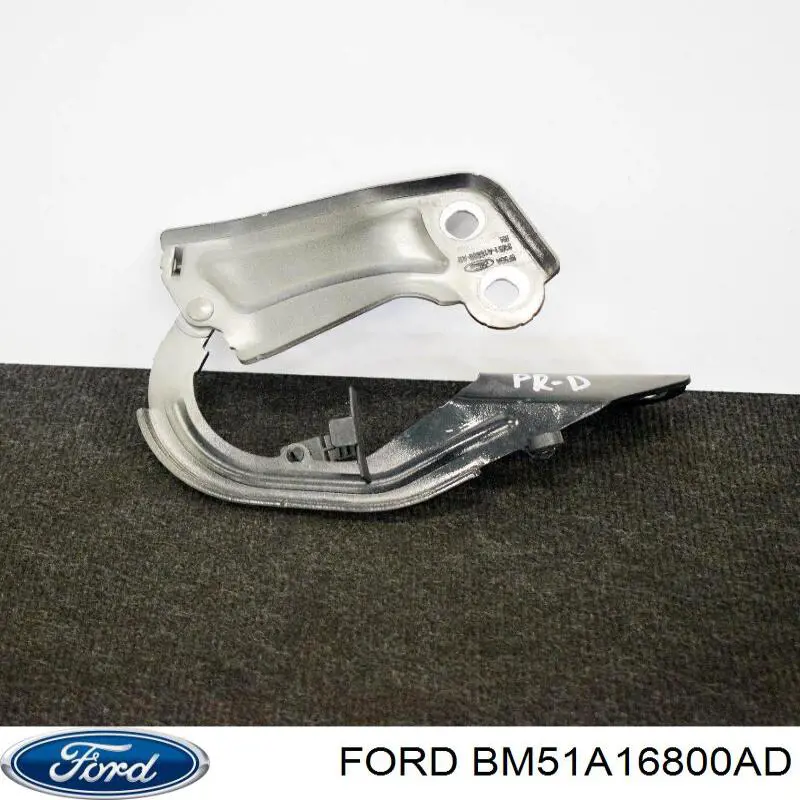Петля капота правая FO1236153 Various
