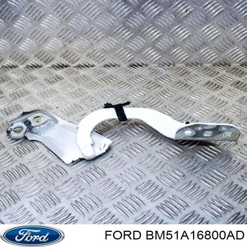 Петля капота, правая Various FO1236153 цена, от 18.02 USD