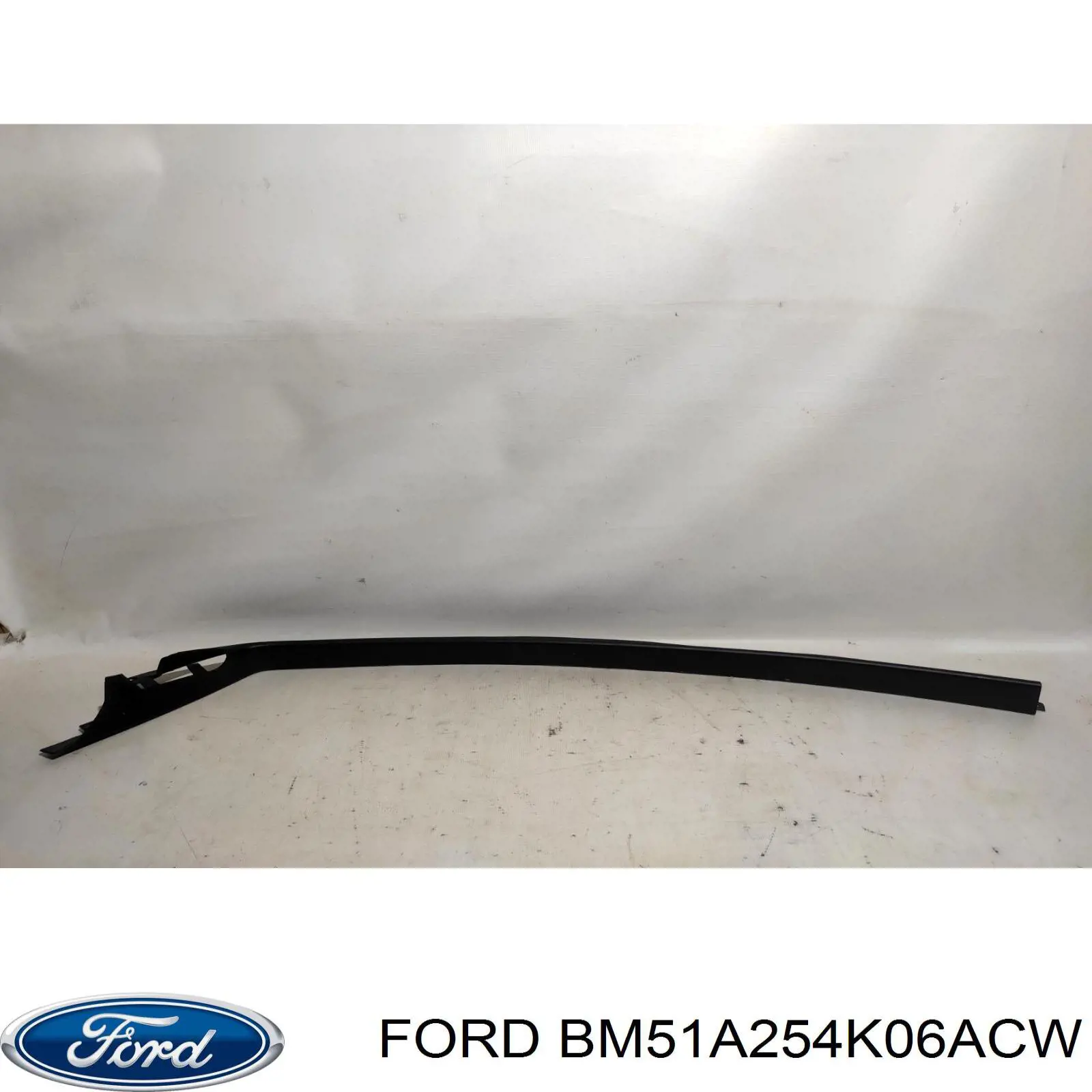 BM51A254K06ACW Ford 