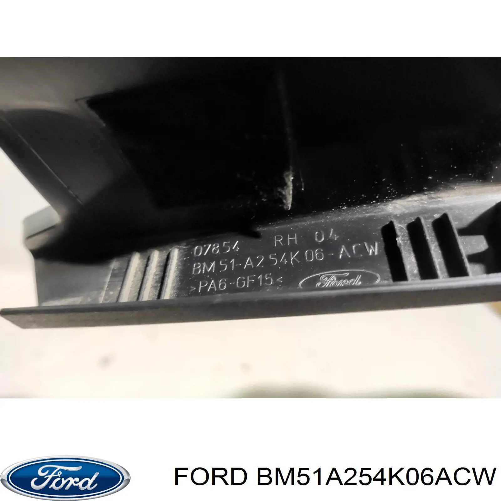  BM51A254K06ACW Ford