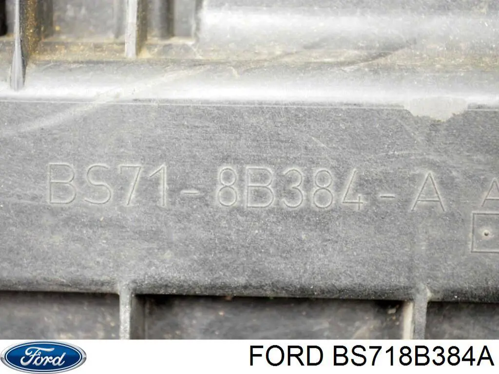 Кенгурятник Ford BS718B384A цена, от 24.53 USD