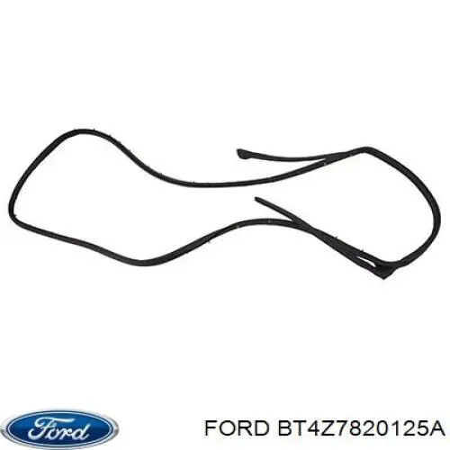 BT4Z7820125A Ford Водительская дверь
