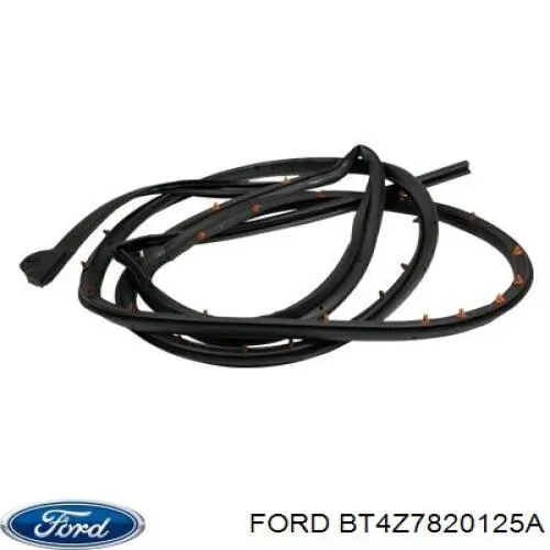 Купить BT4Z7820125A Ford Дверь передняя, левая