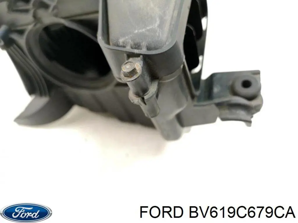 Купить BV619C679CA Ford 