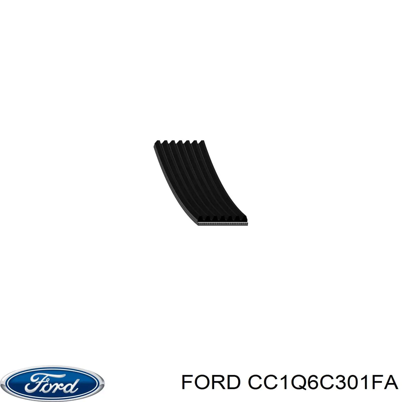 CC1Q 6C301 FA Ford ремень генератора