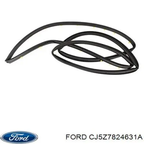 Задняя левая дверь Ford CJ5Z7824631A