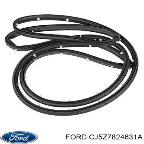 CJ5Z7824631A Ford Дверь пассажирская задняя левая