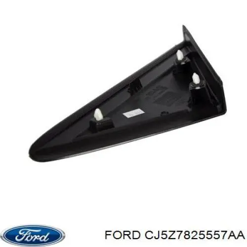 CJ5Z7825557AA Ford Накладка задней левой двери, нижняя