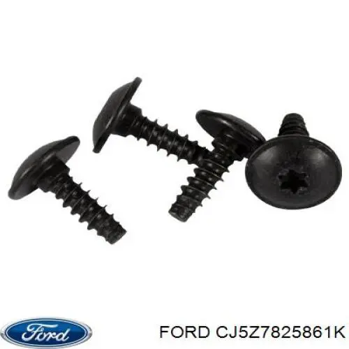 CJ5Z7825861K Ford 