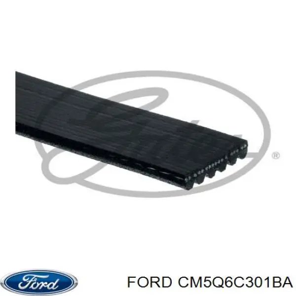 Купить CM5Q6C301BA Ford Ремень генератора
