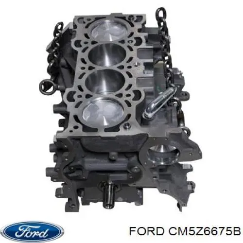 Поддон масляный картера двигателя Ford CM5Z6675B