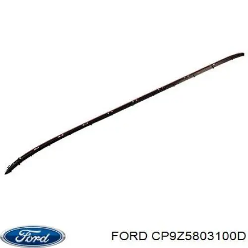 CP9Z5803100D Ford 