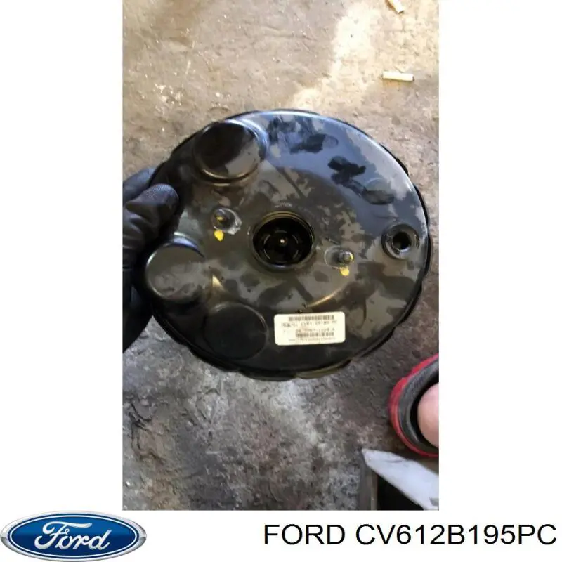CV612B195PC Ford 