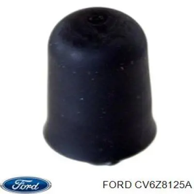  CV6Z8125A Ford