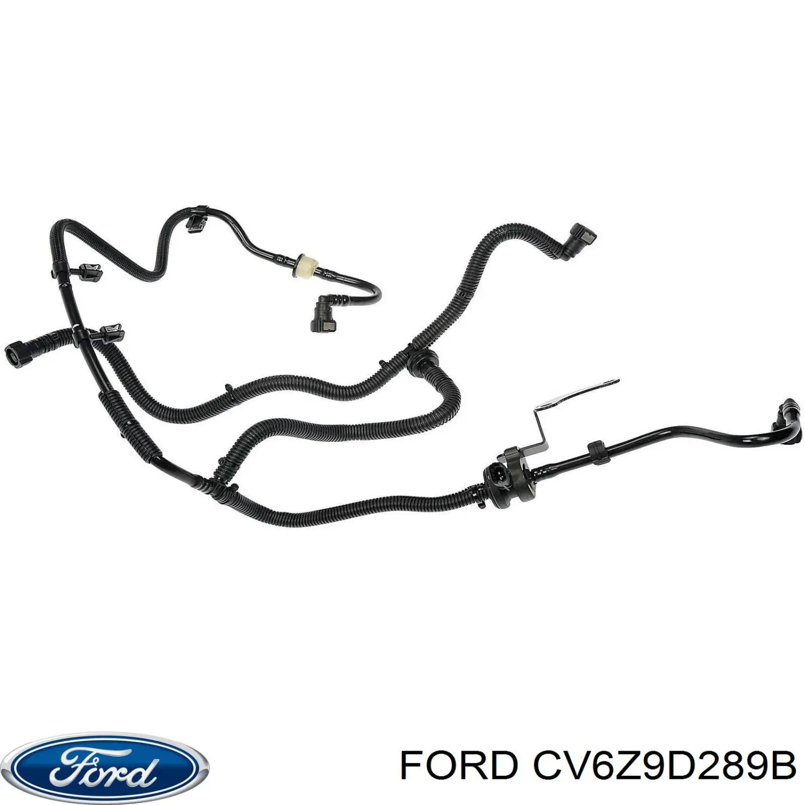 CV6Z9D289B Ford 