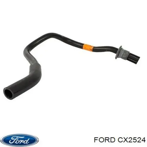 Купить CX2524 Ford Адсорбер