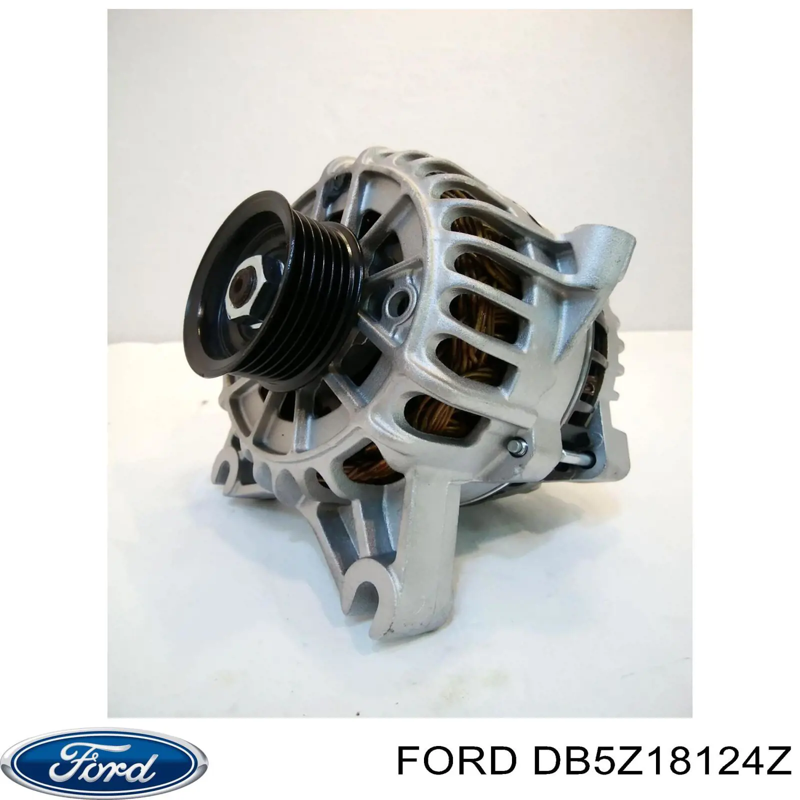 Амортизатор передний левый DB5Z18124Z Ford