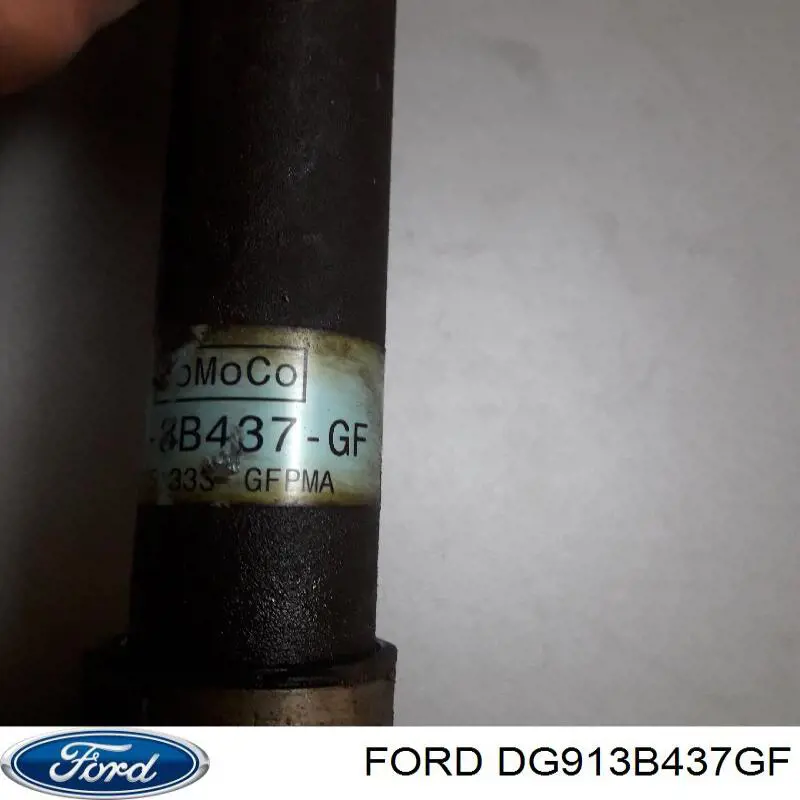 Купить DG913B437GF Ford 