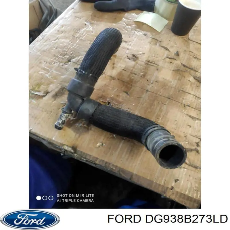  DG938B273LD Ford