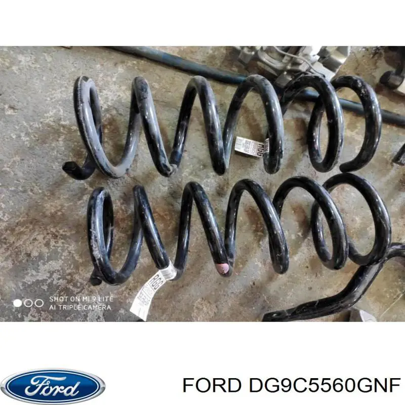 DG9C5560GNF Ford 
