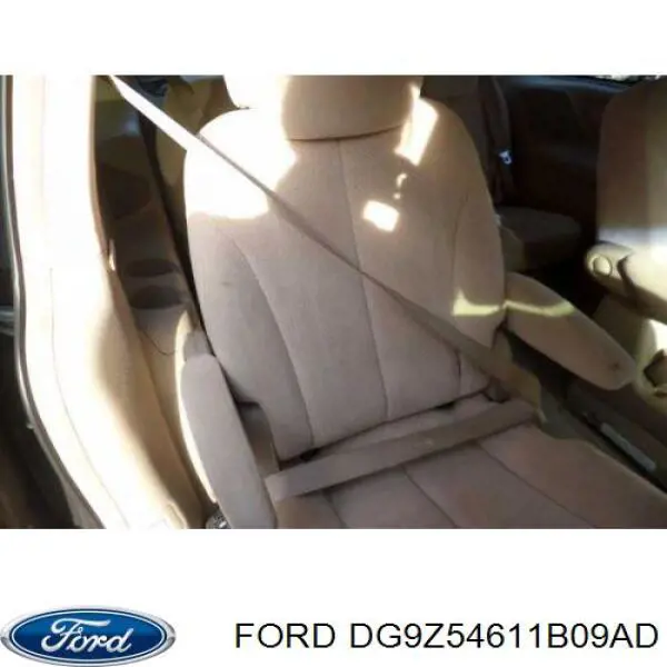 DG9Z54611B09AD Ford 